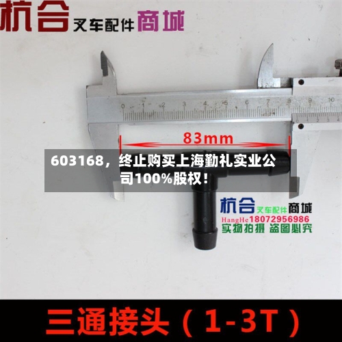 603168	，终止购买上海勤礼实业公司100%股权！-第3张图片