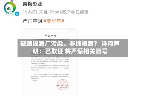 被造谣酒厂污染、非纯粮酒？ 洋河声明：已取证 将严惩相关账号-第2张图片