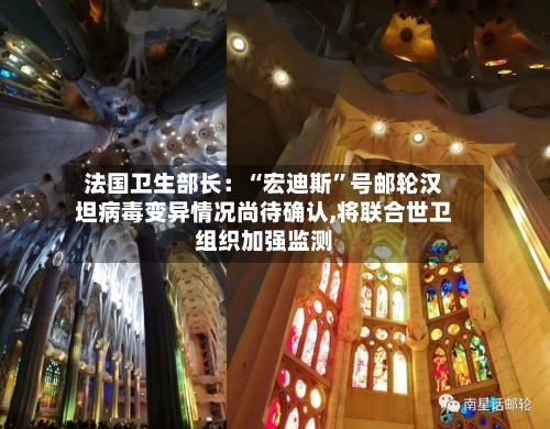法国卫生部长：“宏迪斯”号邮轮汉坦病毒变异情况尚待确认,将联合世卫组织加强监测-第2张图片