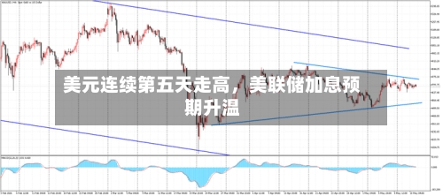 美元连续第五天走高，美联储加息预期升温-第1张图片