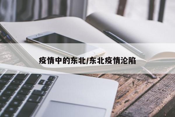 疫情中的东北/东北疫情沦陷