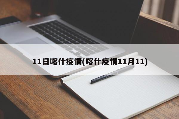 11日喀什疫情(喀什疫情11月11)